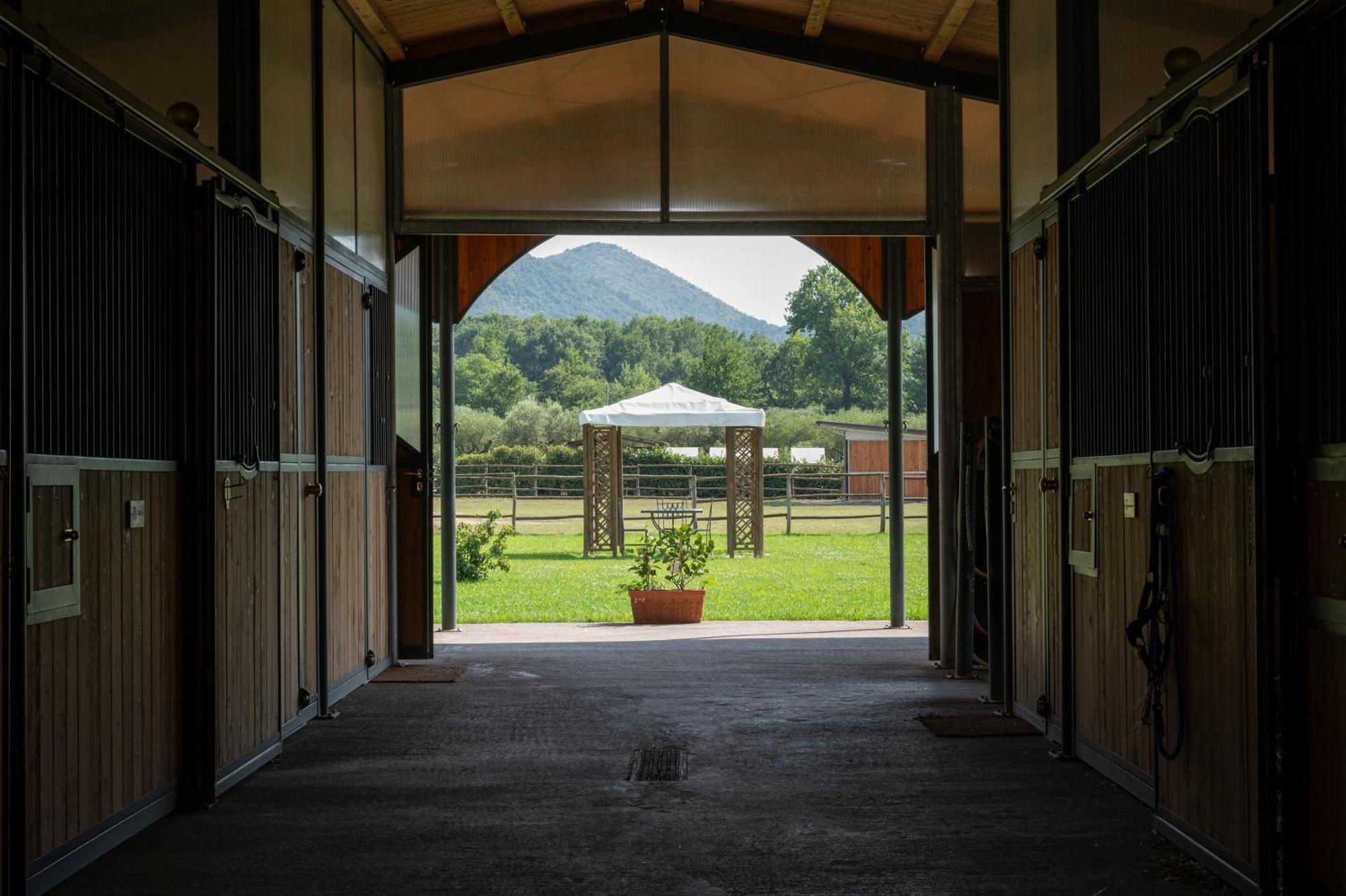 Family Farm Soc. Agr. A R.L. Vairano Patenora Exterior foto
